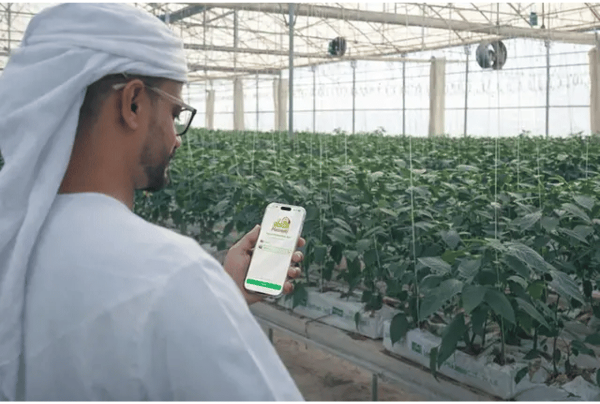 Mazraati Launch Signals Digital Shift in UAE Food Security