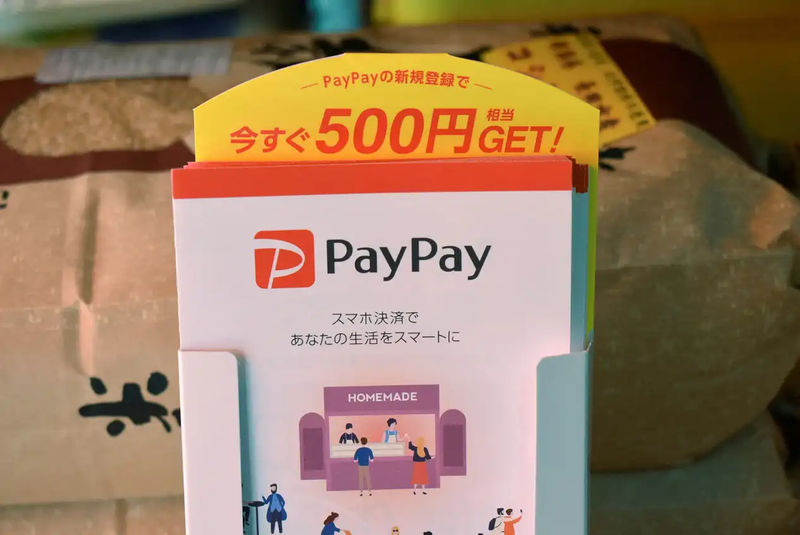 Qatar-UAE Sovereign Funds Back PayPay’s $1.1B Nasdaq IPO