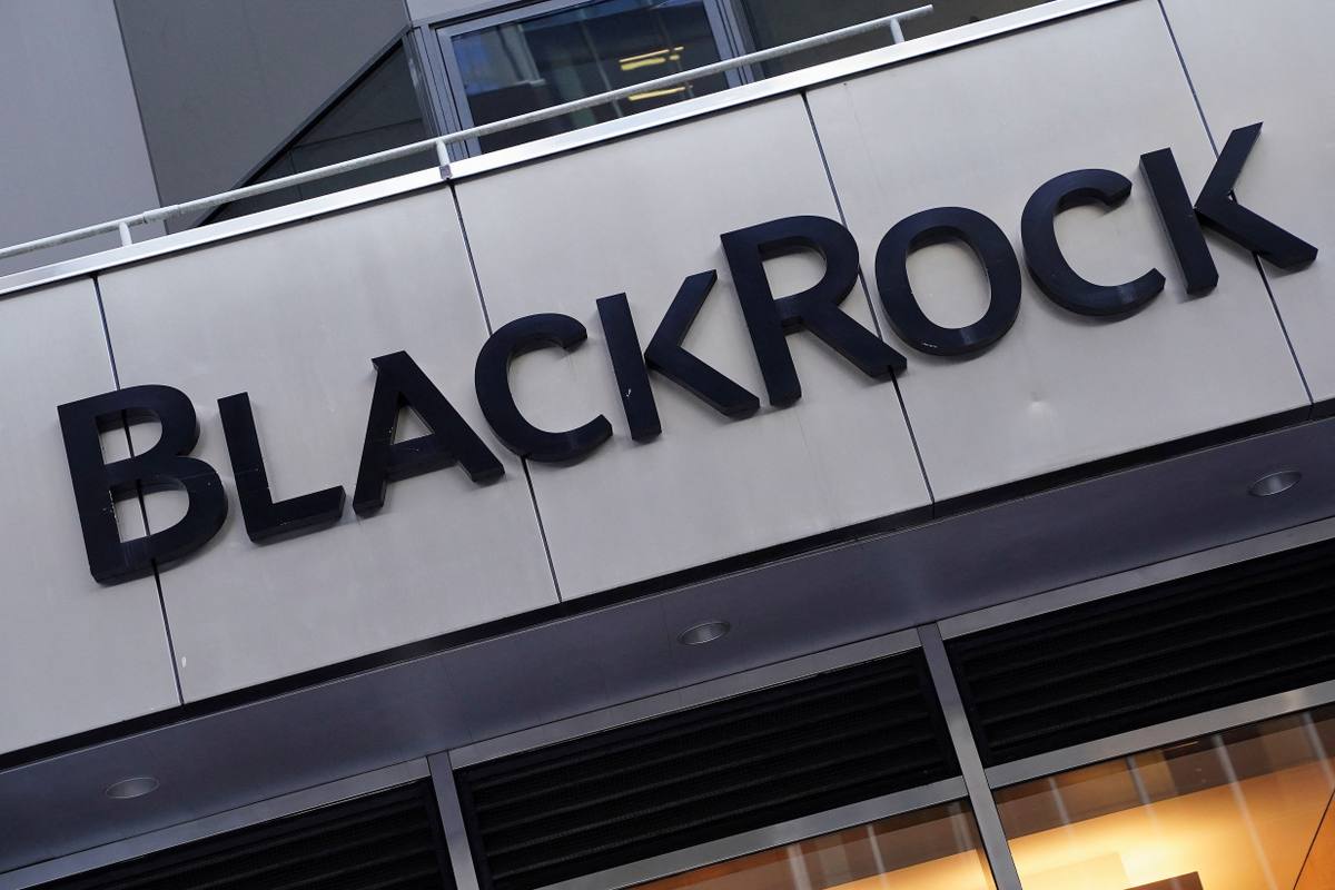 BlackRock Considers Cornerstone Investments in IPOs