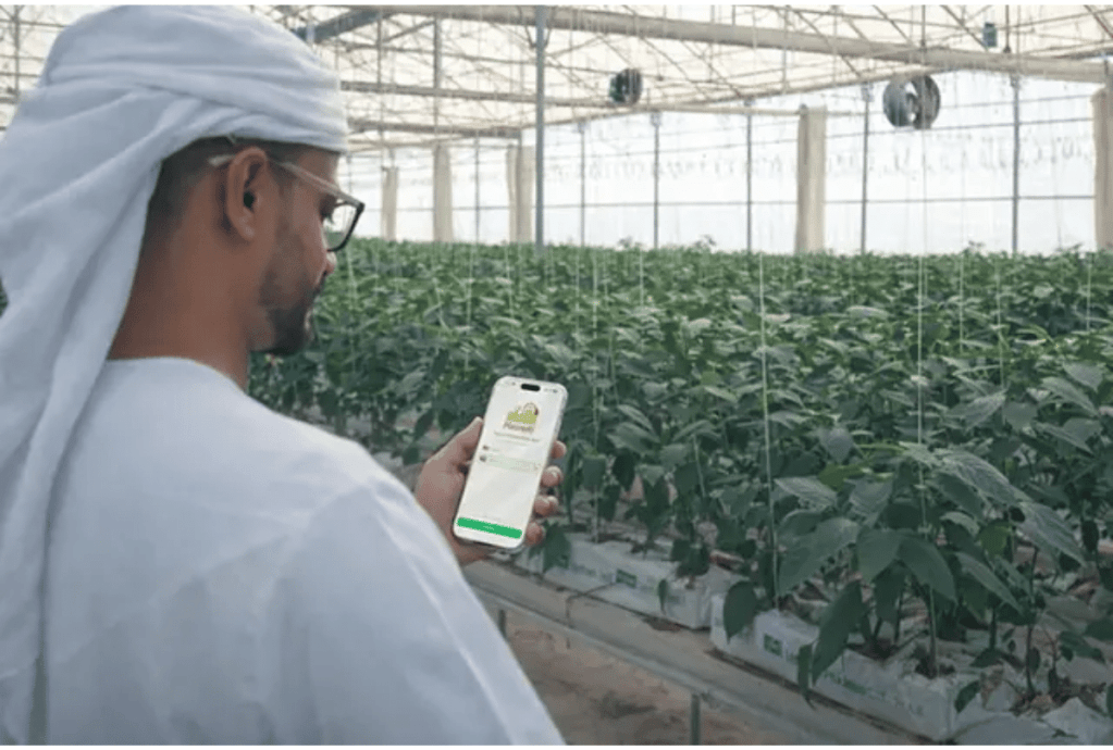 Mazraati Launch Signals Digital Shift in UAE Food Security