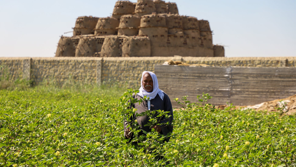 Credit: WAYA Media SEKEM to Invest $10M in MENA Food, Agriculture, Expansion