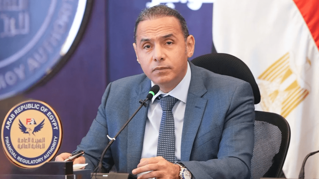 Egypt’s FRA Approves Valu, 5 Others to Expand Fintech Services